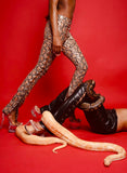 SNAKE PRINT PANT